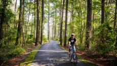 A person cycles through a pine forest on a paved trail in Queen Anne's County, Maryland, USA.