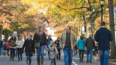 Waterfowl Festival, Easton, MD Waterfowl Festival, Easton, MD