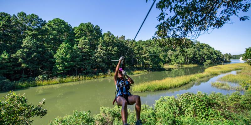 A person swings over treetops with a river behind them in Virginia Beach Virginia USA.