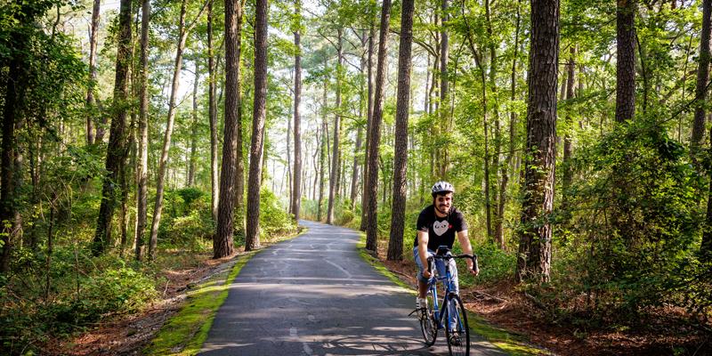 A person cycles through a pine forest on a paved trail in Queen Anne's County, Maryland, USA.