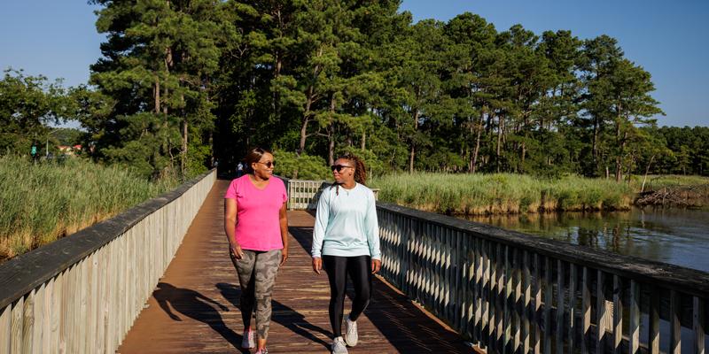 walking through marshlands on boardwalk trails in queen anne's county, maryland USA two people walk through marshlands on boardwalk trails in queen anne's county, maryland USA