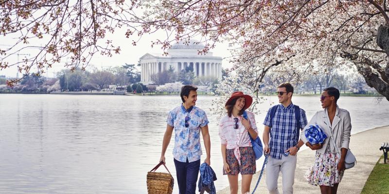 Washington Nationals Honor City's Iconic Cherry Blossoms With City