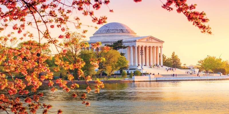 Jefferson Memorial, Washington, DC, cherry blossoms, Tidal Basin