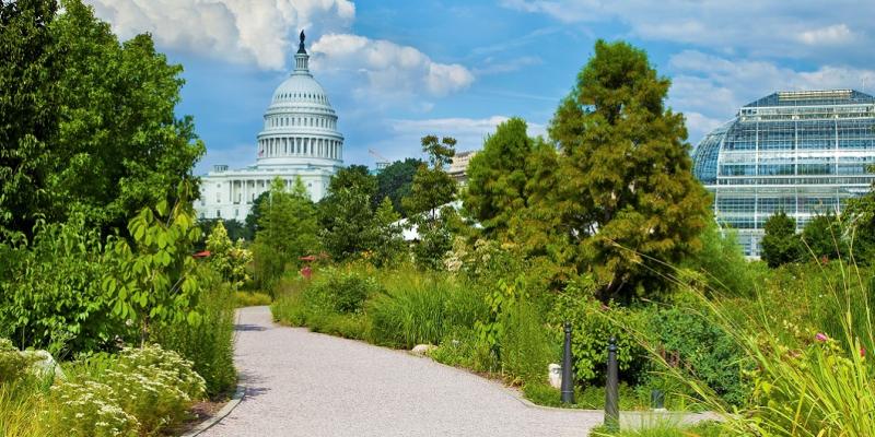 US Botanic Gardens, Capitol Building, Washington, DC