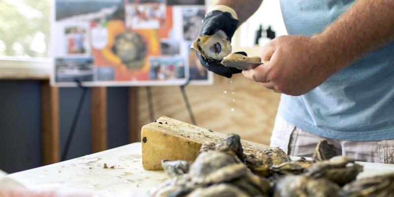 Urbanna Seafood & Raw Bar in Virginia