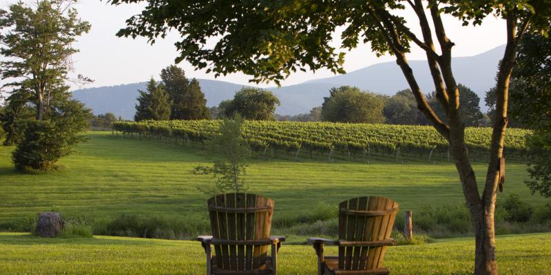 Veritas Vineyard & Winery, Afton, Virginia