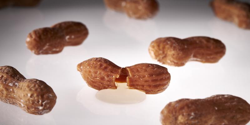 A creative plating featuring split peanut shells at minbar by José Andres in Washington, DC.