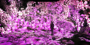 Person in the Pixelbloom experience