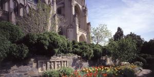 Exterior image of the cathedral