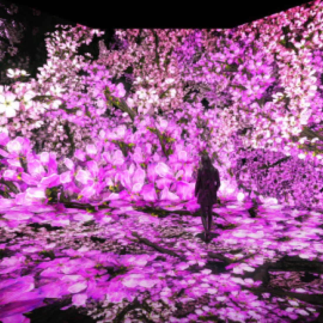 Person in the Pixelbloom experience