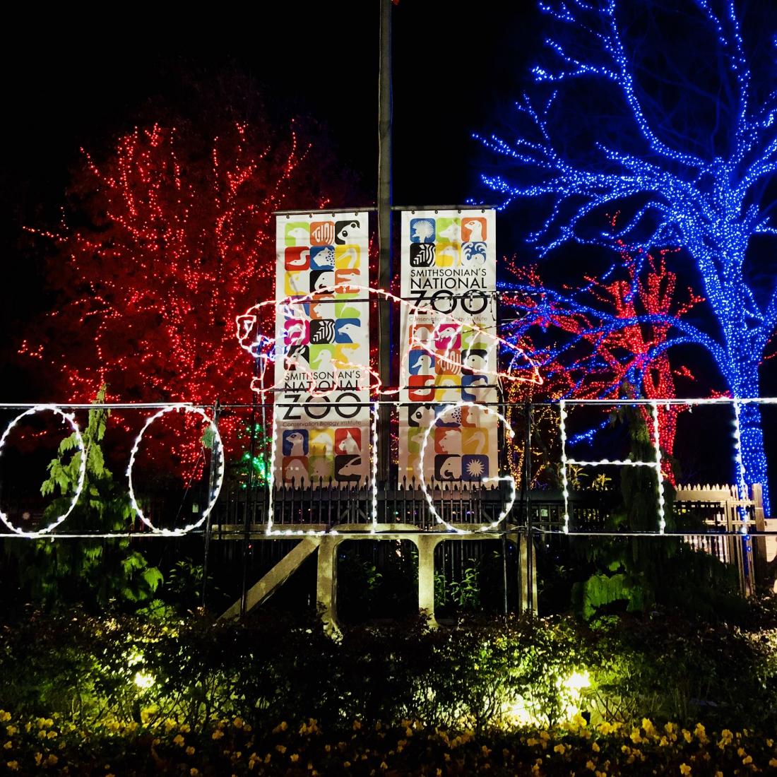National Zoo entrance lit up for the holidays