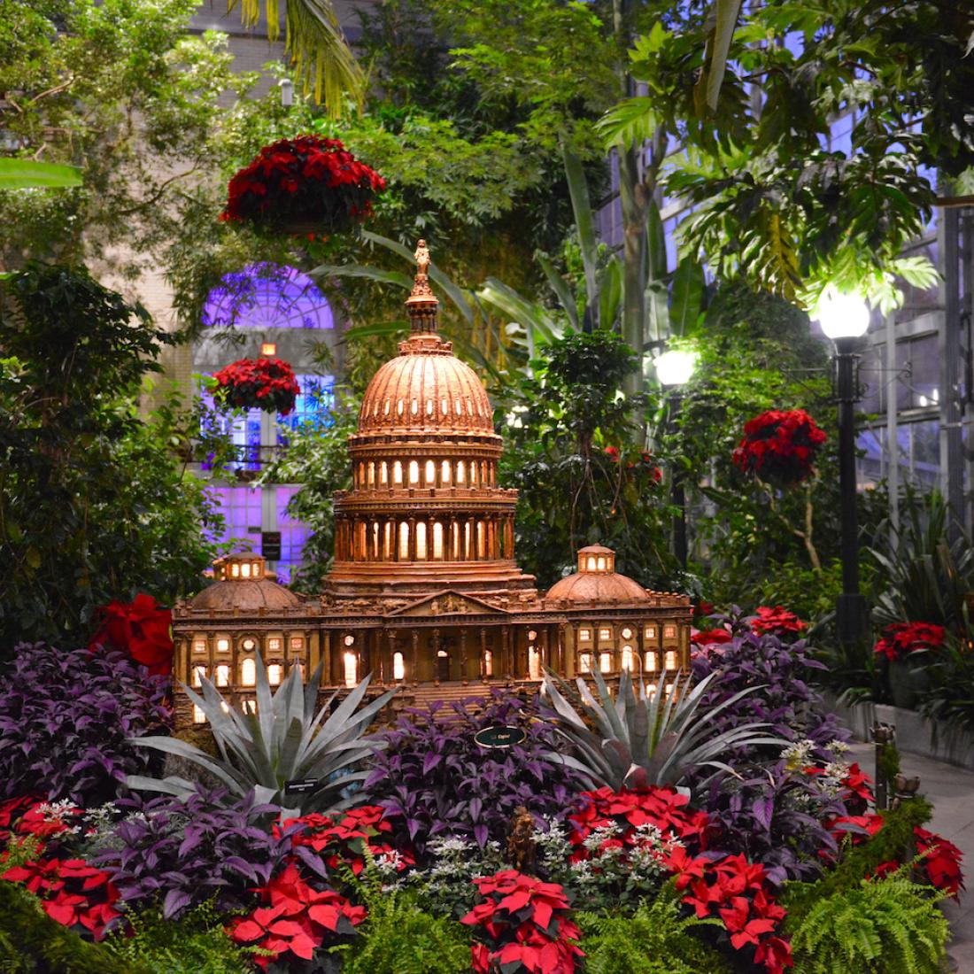 Botanical display featuring the US Capitol Building