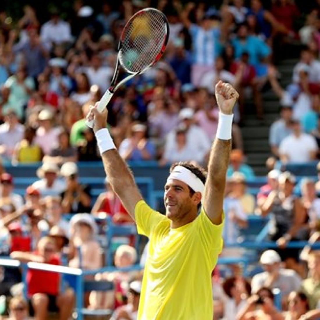 Citi Open Tennis Juan Martin del Potro celebrates on the court