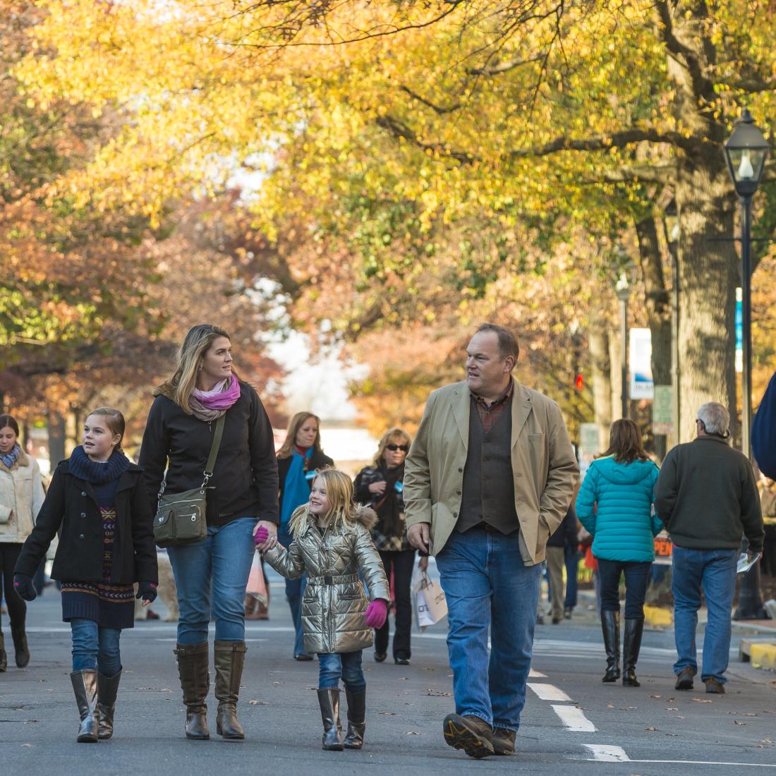 Waterfowl Festival, Easton, MD Waterfowl Festival, Easton, MD